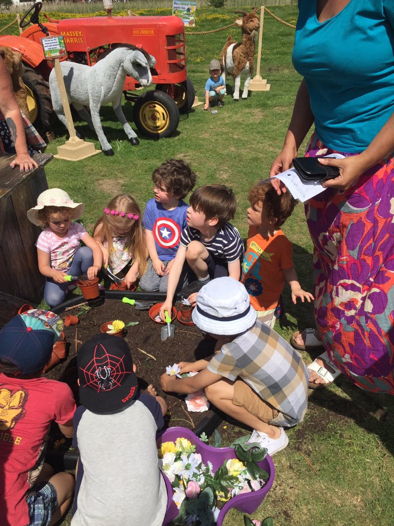 Mindi Byrne tweet media