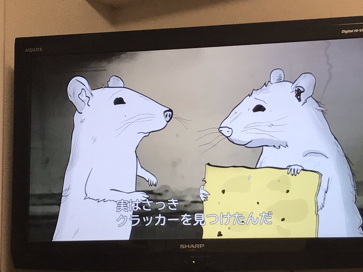 人気急上昇中 アニマルズ を要チェック 人気急上昇中 アニマルズ を要チェック