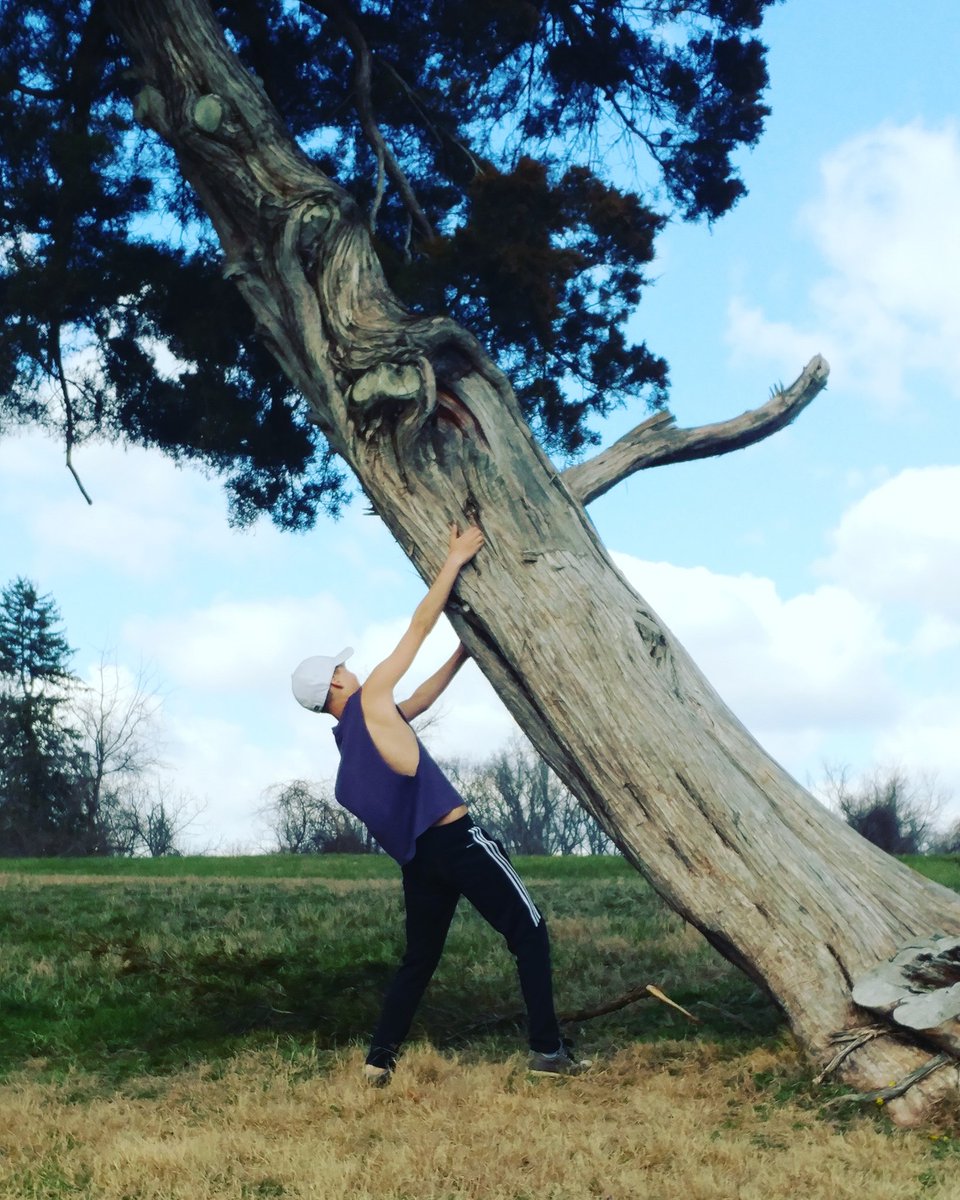 mercy_prt's tweet photo. Pulling down trees
#TreeTown2017 https://t.co/4oyA9wI7Vo