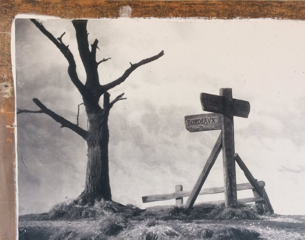 Zoe Dorelli tweet media