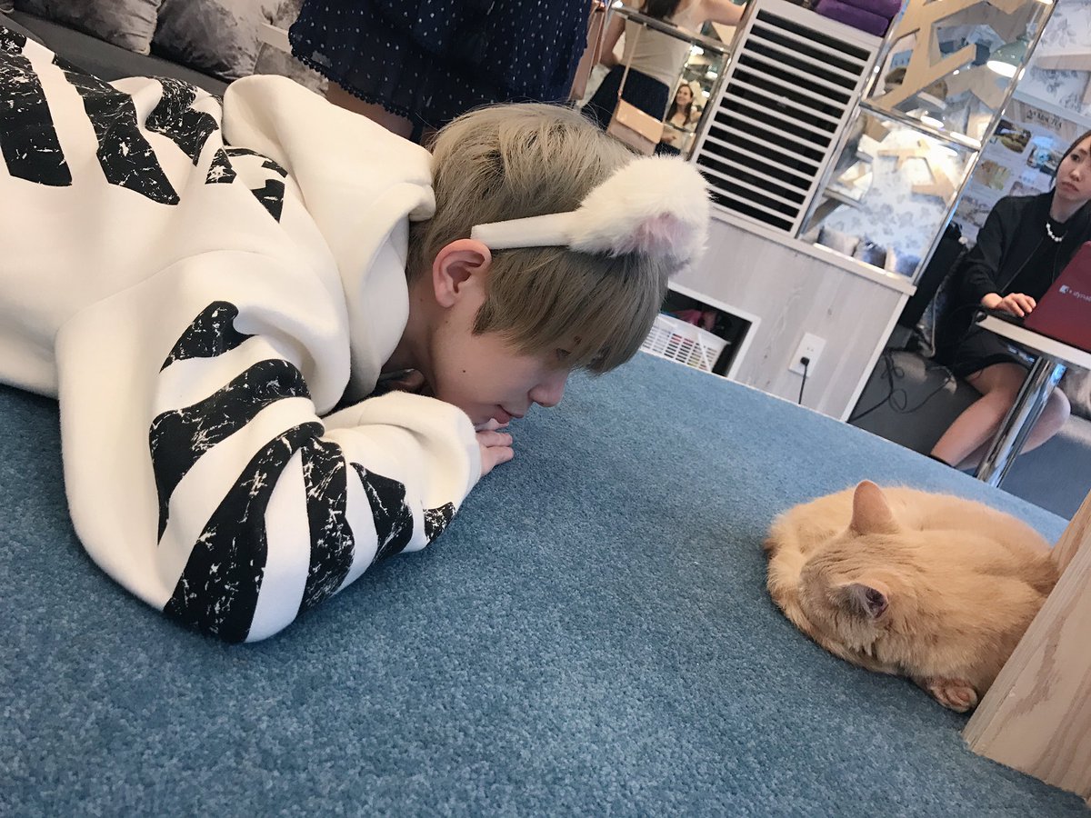 ynmr_kait's tweet photo. 究極の癒しが欲しくて初猫cafe🐈 この子が自ら寄って来たあげくに寝たねんか。可愛すぎて連れて帰りそうになりました😰笑

歩君1日付き合ってくれてありがとう〜〜〜 https://t.co/V0x0pQM5l0