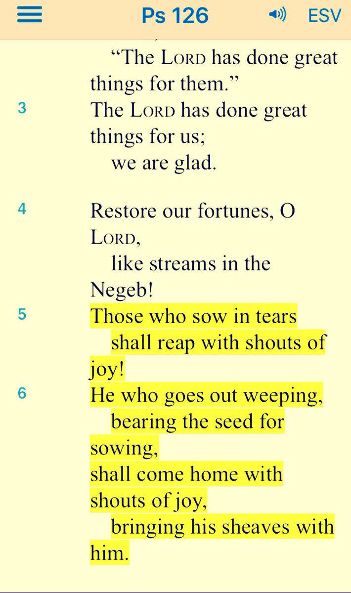 BethMooreLPM's tweet photo. Sow seeds of God's Word in the soil of your pain. On hands &amp; knees, head hanging, water them with your tears. You WILL reap sheaves of joy. https://t.co/Ipd2XCQSjE
