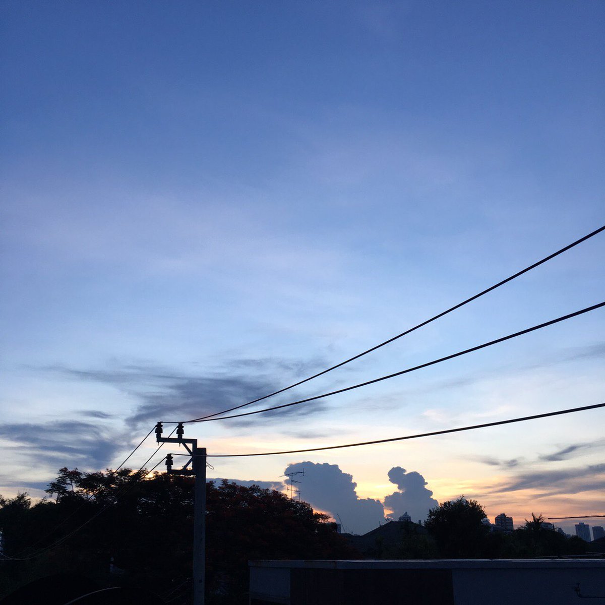 decemoon_ tweet picture