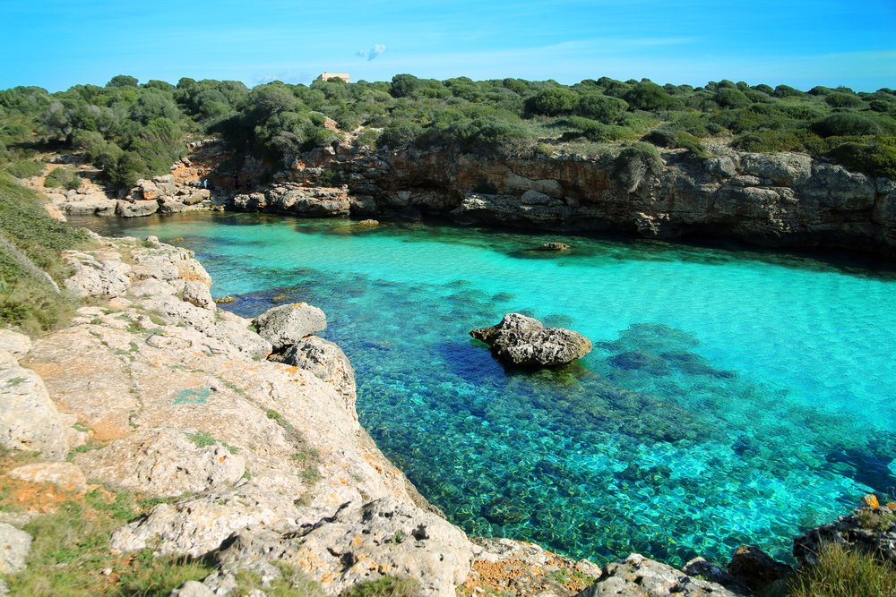 guiamallorca tweet picture