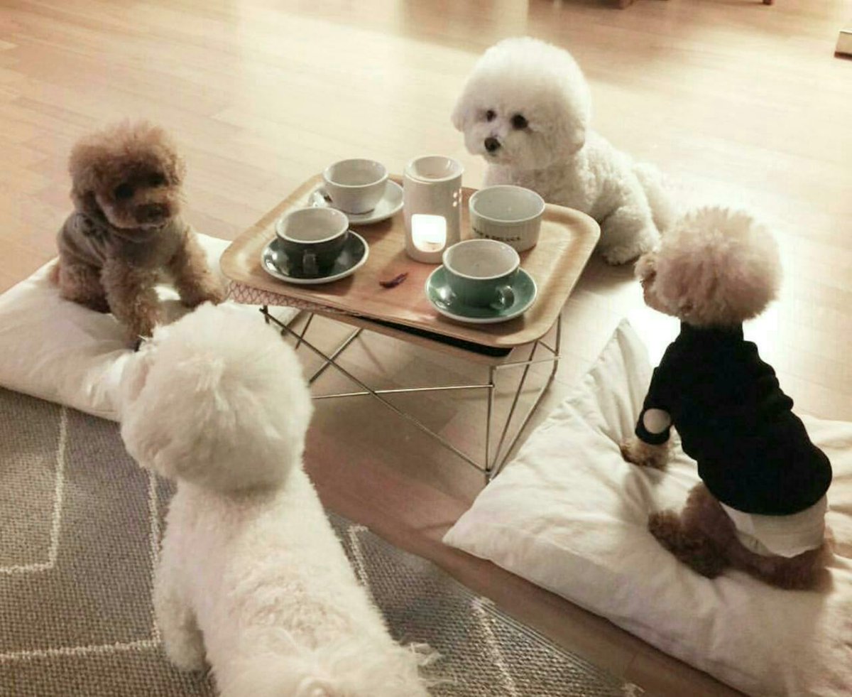 낮 급벙~~
날이 넘 덥다~ㅋㅋ