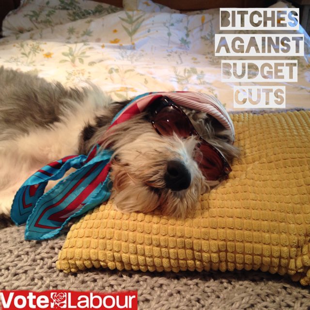 haikugem's tweet photo. BITCHES AGAINST BUDGET CUTS #animalsagainstausterity https://t.co/EP8aQssH6P