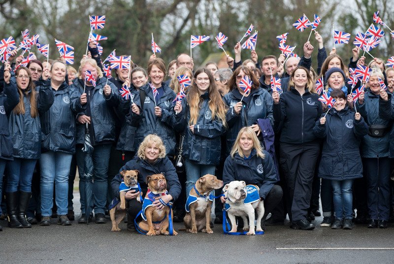 Battersea_'s tweet photo. Every year we care for over 7,000 dogs &amp; cats but none of this would be possible without our incredible army of volunteers #volunteersweek 😀 https://t.co/AJAuO57oRs