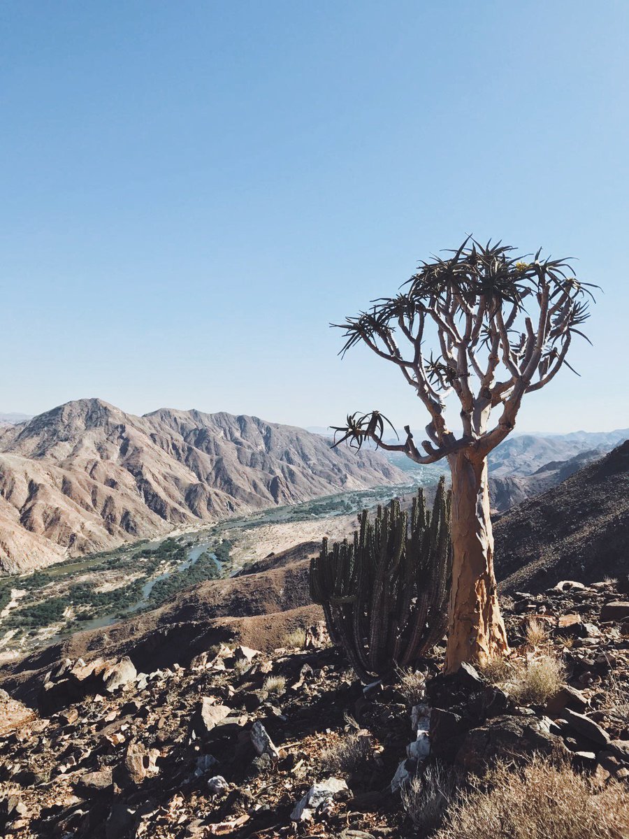 Oananamibia's tweet image. When the views don’t even look real 😍😲 #oanaflorafauna #oana #namibia
