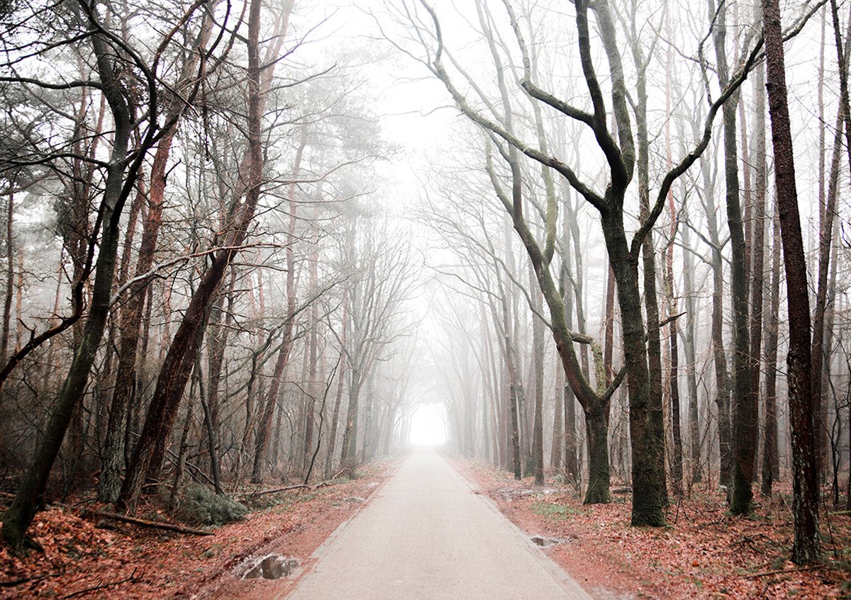 SouraMagazine's tweet photo. “Silence” a peaceful photo series by Netherlands-based photographer #ClaireDroppert.
#SouraMagazine: https://t.co/NABCQnXdV0 https://t.co/SnnxbAdVE3