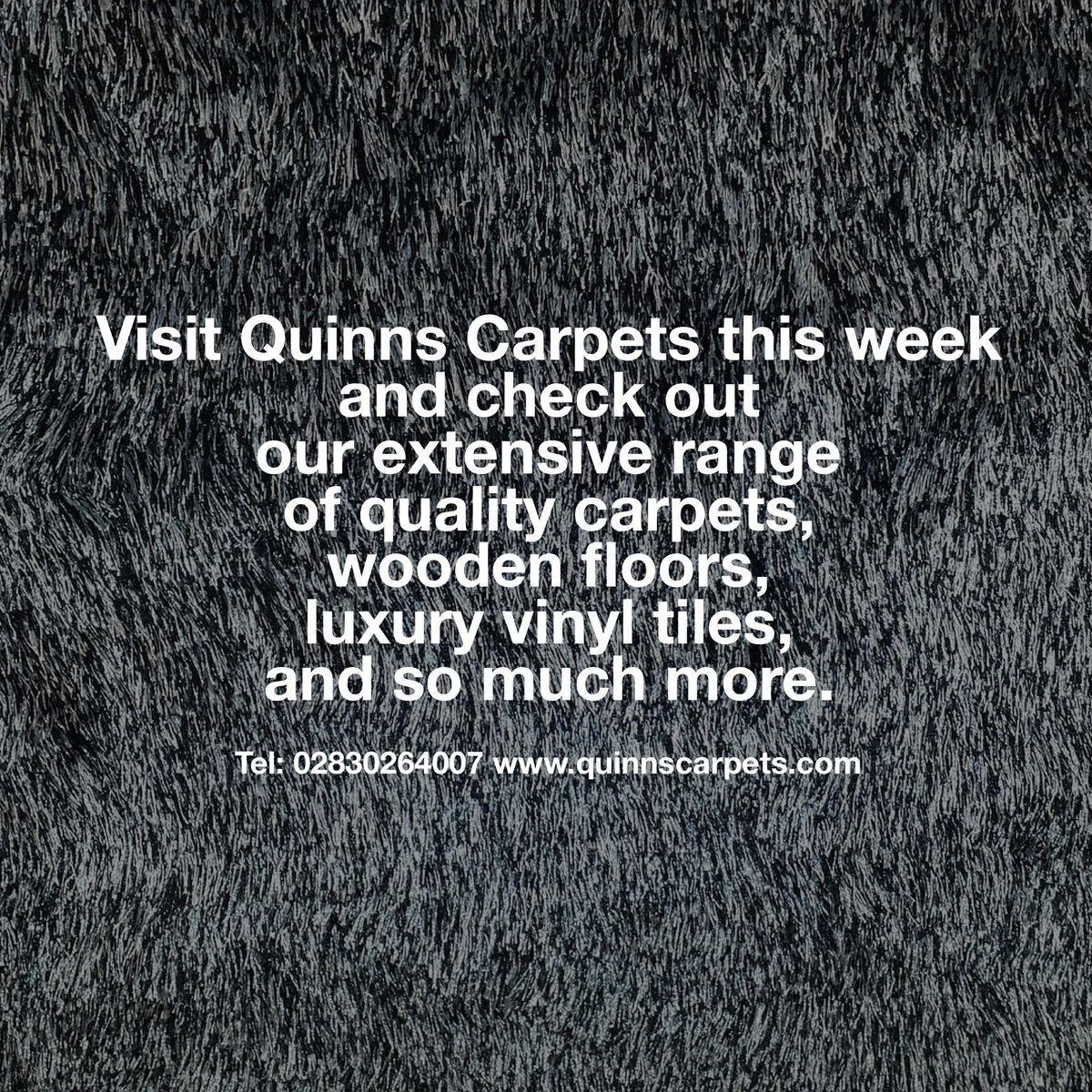 QuinnsCarpets's tweet photo. Visit Quinns Carpets this week and check out our extensive range of quality carpets, wooden floors, luxury vinyl tiles, and so much more. https://t.co/1ZhJHxO4rz