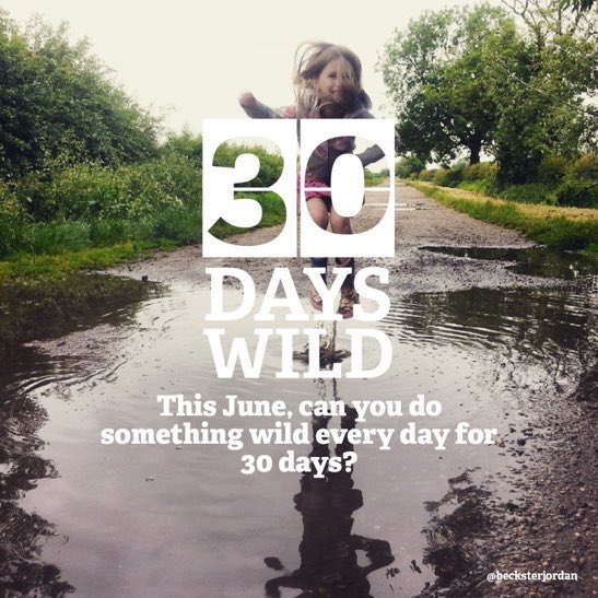 RichBuntingCCI's tweet photo. Get involved and feel more connected to nature - #30DaysWild from @WildlifeTrusts starts today! https://t.co/k08ljkXPlI @30DaysWild https://t.co/kb8A9yVccA