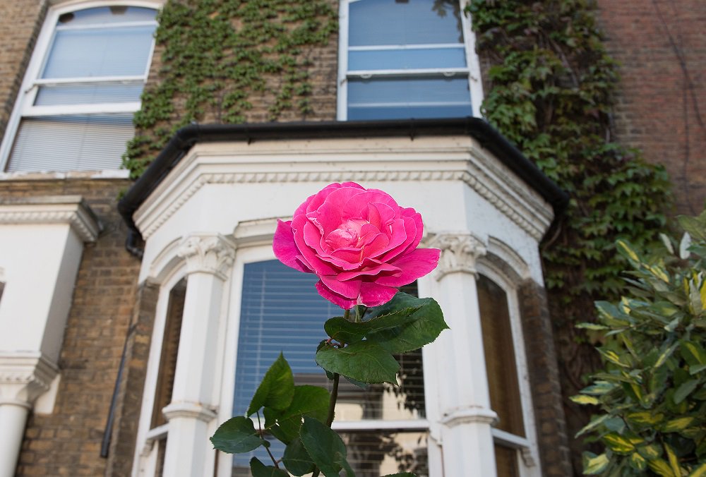 WilberforceRoad's tweet photo. Photographs showing houses in #WilberforceRoad and their architectural features, thanks @AnitaaAnderson https://t.co/Tmd6QBT0Lh