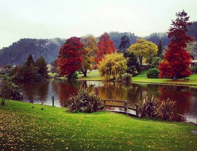Beautiful colours of autumn over Sullivan Lake, Whakatane, Bay of Plenty, New Zealand
Thanks @mons_pics! 📷❤ and <a href="/whakatane/">Simone Bettany</a>.nz