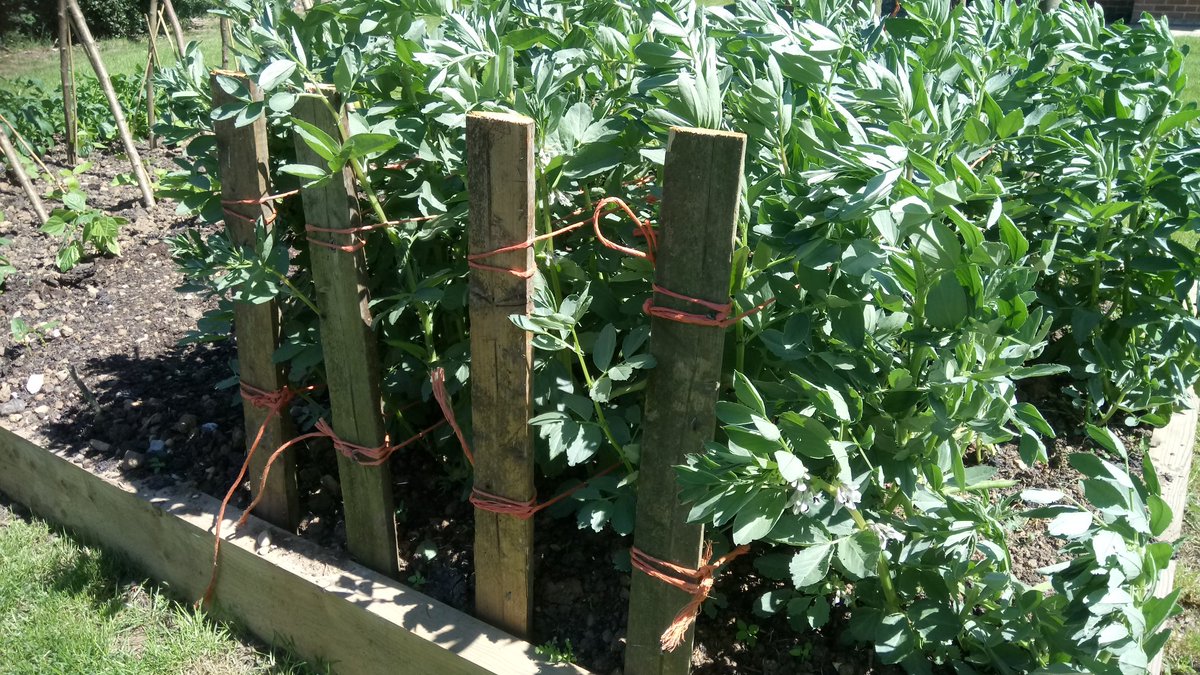 FarmersOfTheUK tweet picture
