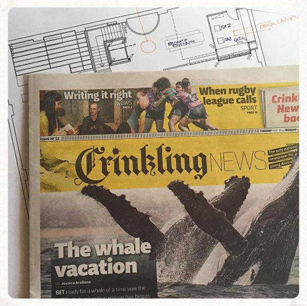 CODA Studio tweet media