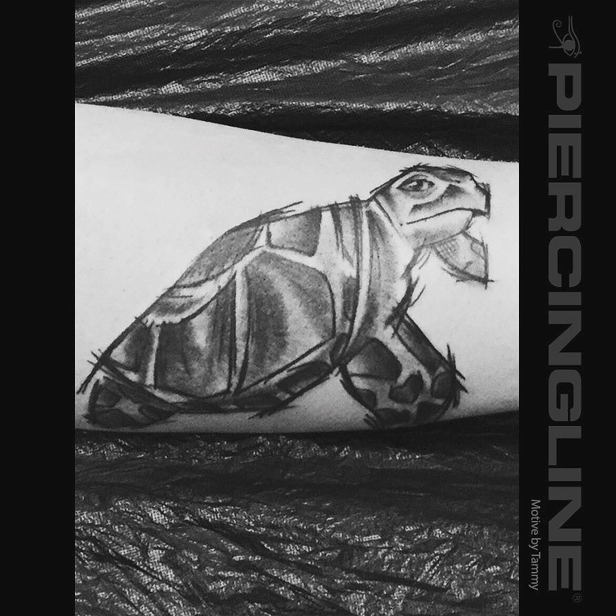 PIERCINGLINE's tweet photo. Eine kleine Schildkröte 🐢 aus unserem Studio.
#tattoo #tätowierungen #flower #flowertattoo #instagood #piercingli… https://t.co/JE3bXEbdjW https://t.co/C0TWXcVTRX
