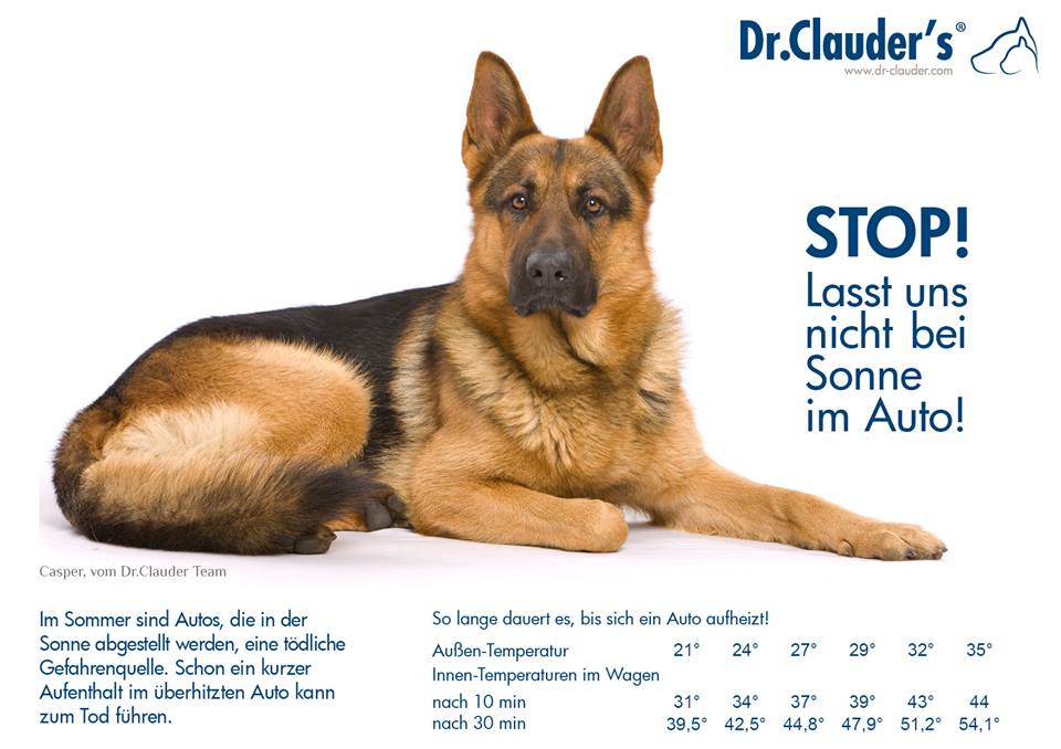 DrClauders's tweet photo. Auch am sonnigen #Kindertag lasst Tiere 🐾 und Kinder 👩‍👧‍👧 nicht im heißem Auto zurück! #Hitze #Sonne #Hundeimauto #Hund #Auto #Autobahn https://t.co/hTeCDKQPUD
