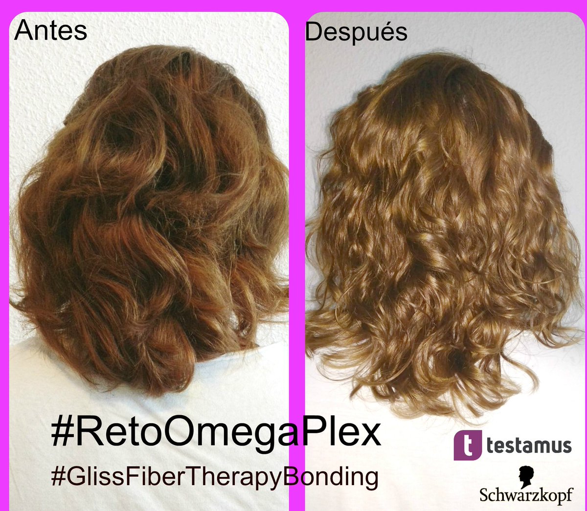 BeautyTestrBlog's tweet photo. ⚡️ “#RetoOmegaPlex”

https://t.co/MYLes9HStx https://t.co/ZQvPh8FYZ0
