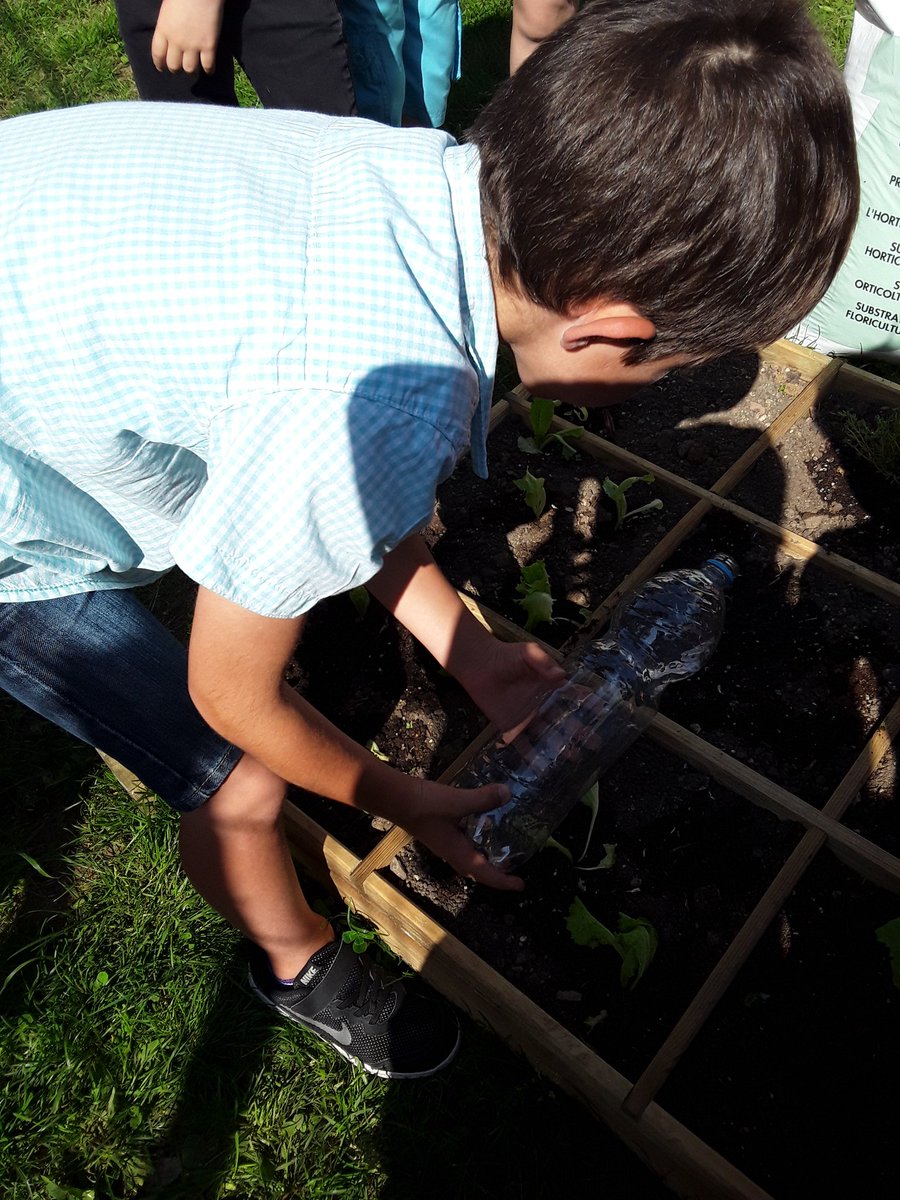 cp_ce_Mouzon's tweet photo. Ce matin, on a semé des graines et planté du thym. Mathéo, Enzo C et Kim. https://t.co/55k2IKR7xx