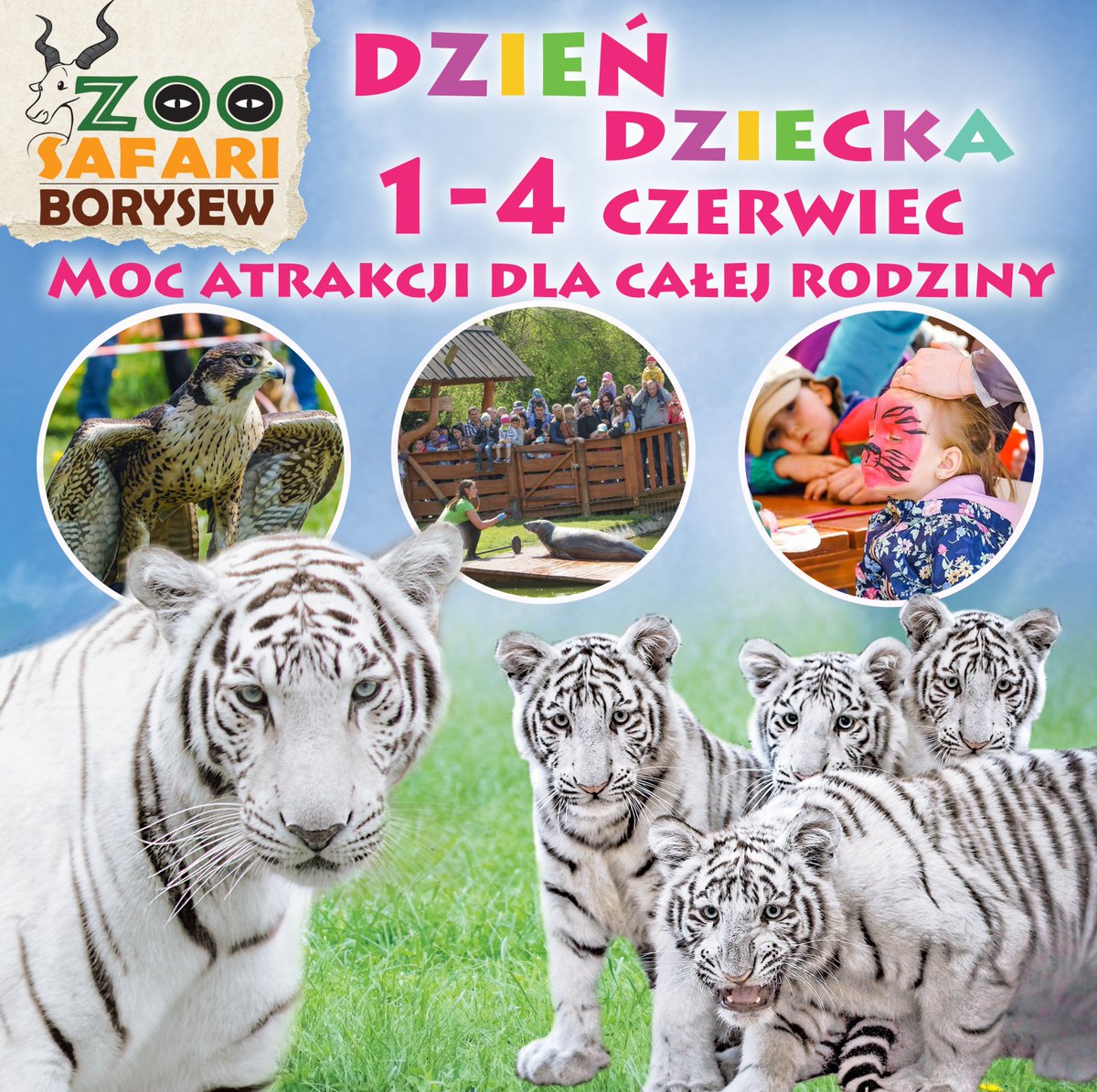 ZooBorysew's tweet photo. Zaczynamy wielką imprezę z okazji Dnia Dziecka! @ZooBorysew #dzien #dziecka #nagroda #spotkanie #tygryski #aligatory #krokodyle #bilet https://t.co/VCfdnzslKe