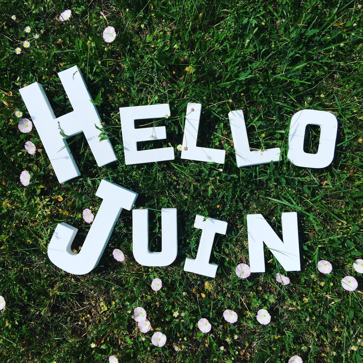 DecopatchFR's tweet photo. Hello Juin ! 👋🌸
#lettres #decopatch #letters #juin #june #hellojune #hellojuin #diy #creativity #blanc #white #grass #herbe #ete #summer https://t.co/v4IdgGAp4B
