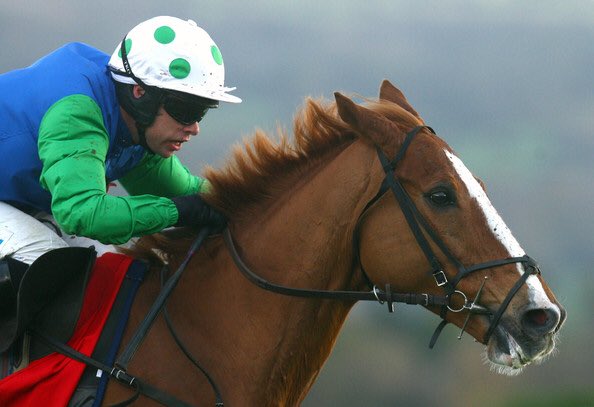 JustMsHannah's tweet photo. π’ Sleep tight big fella, one of my equine heroes - fragile but breathtaking at full flight #WellChief https://t.co/m01VjHhdBV