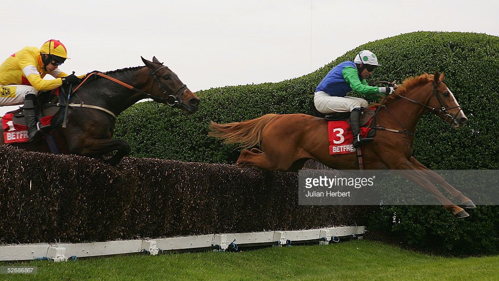 JustMsHannah's tweet photo. π’ Sleep tight big fella, one of my equine heroes - fragile but breathtaking at full flight #WellChief https://t.co/m01VjHhdBV