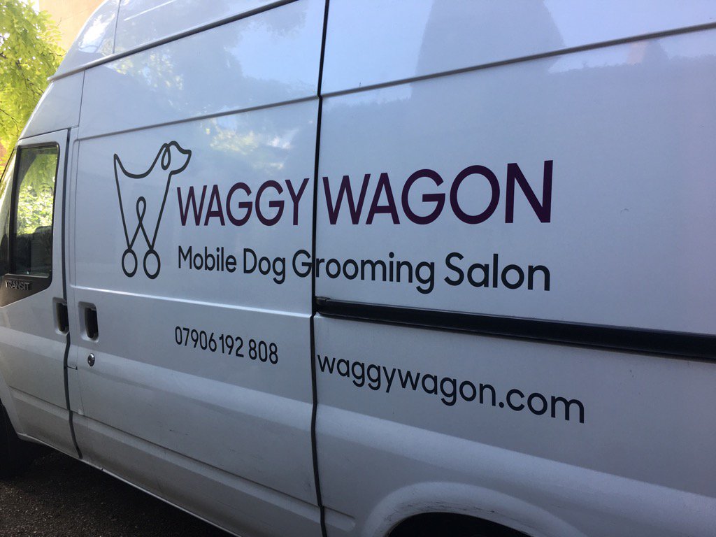 The perfect clean up for your fido