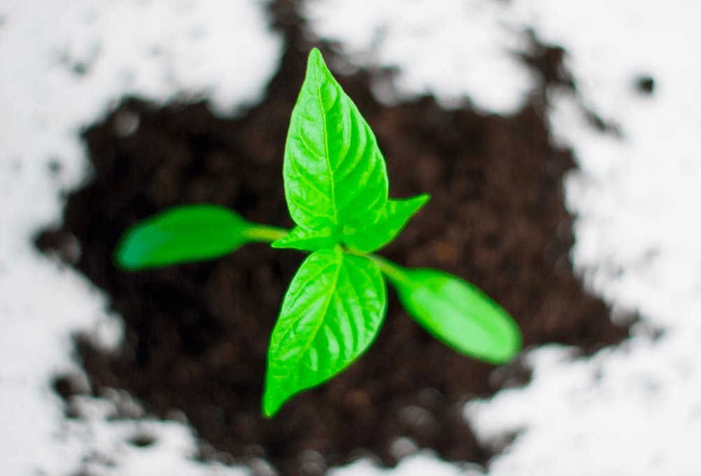 Marc Worth tweet media