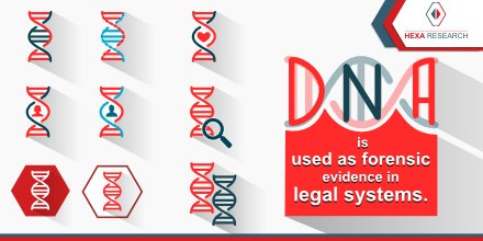HexaResearch's tweet photo. Demand for DNA as evidences can drive the forensic biotechnology.This can impel the #BioinformaticsMarket. Read more https://t.co/pN3MVOHmN5 https://t.co/3W84NNuezP
