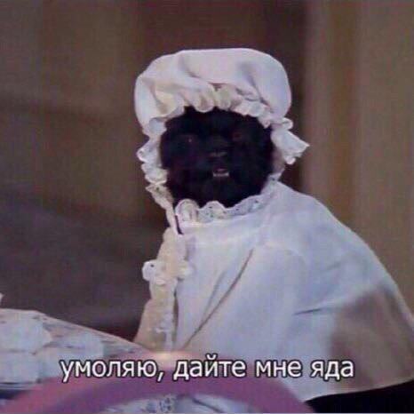 Festrat_art's tweet photo. Завтра профильная математика...
 И я такая просто https://t.co/TibMpJOb0H