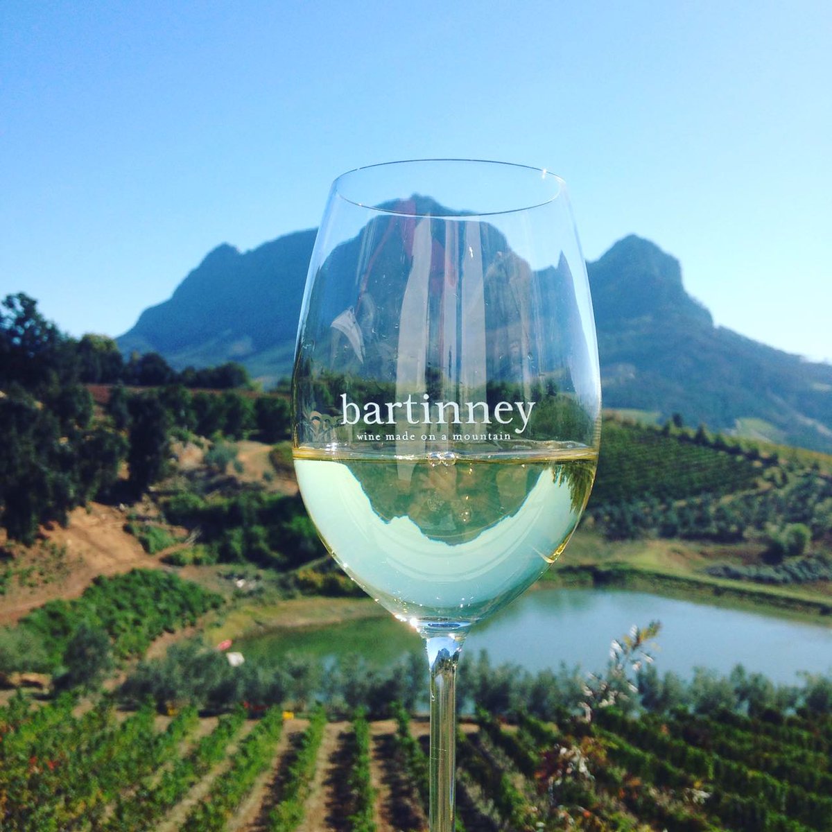 wineonaplatter's tweet photo. Winery of the Week: @Bartinney https://t.co/d7Sf6dp0n2 #Platters2017 @LadyBartinney https://t.co/OJKHBF1EHd