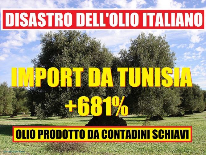 butacit's tweet photo. Olio tunisino: come è andata a finire? https://t.co/HQv16g9OdM https://t.co/z6ugLlavPK