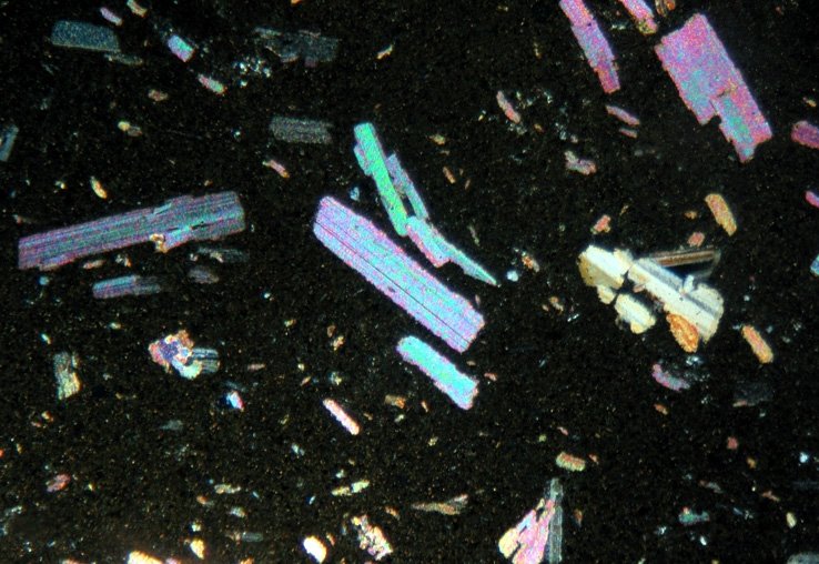 The Rock Library tweet media