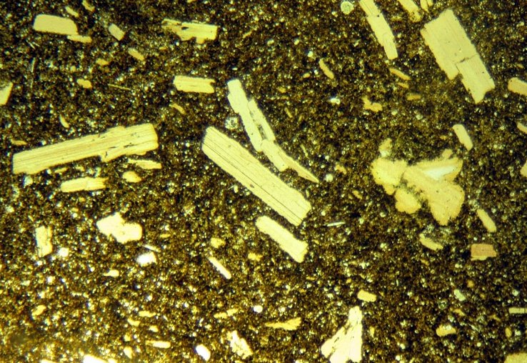 Rock_Library's tweet photo. Lamproite from Oz with phlogopite phenocrysts in a groundmass with richterite and leucite. The world's deepest magma. #ThinSectionThursday https://t.co/RfrVZ3Sywc