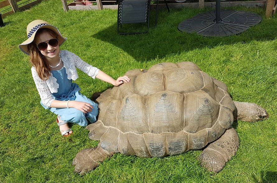 Staffs Showground tweet media