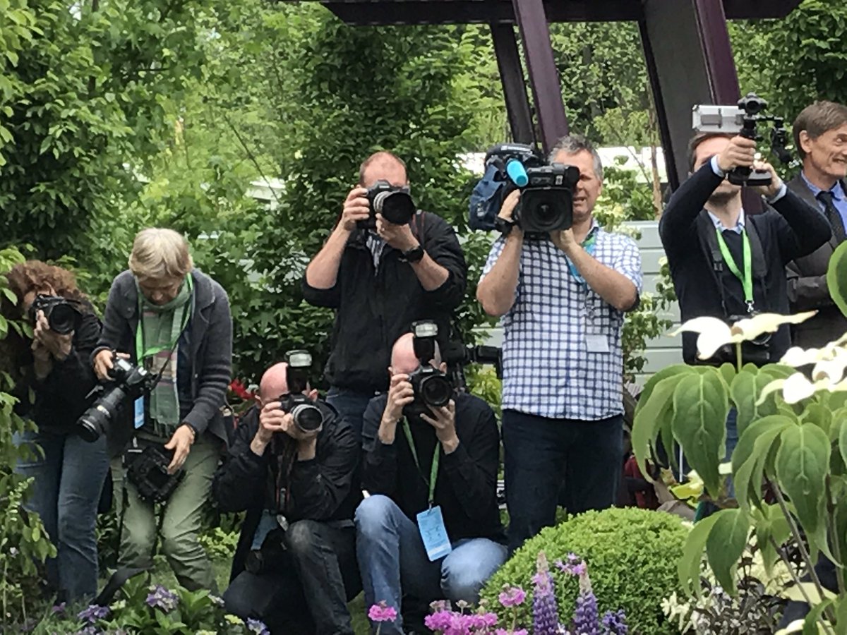 paulallenpr's tweet photo. What's the botanical name for these guys ? #bloom @bloominthepark https://t.co/lJ1gWb297J
