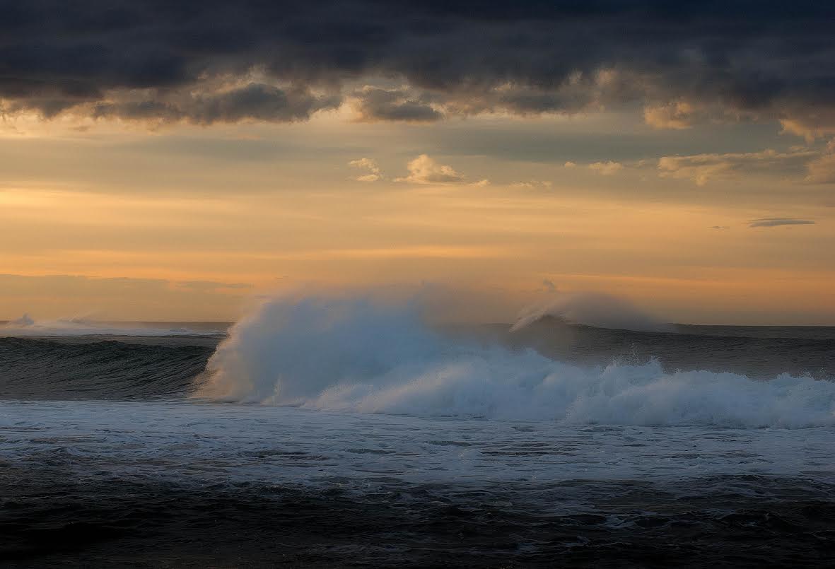 WinterWild ApolloBay tweet media