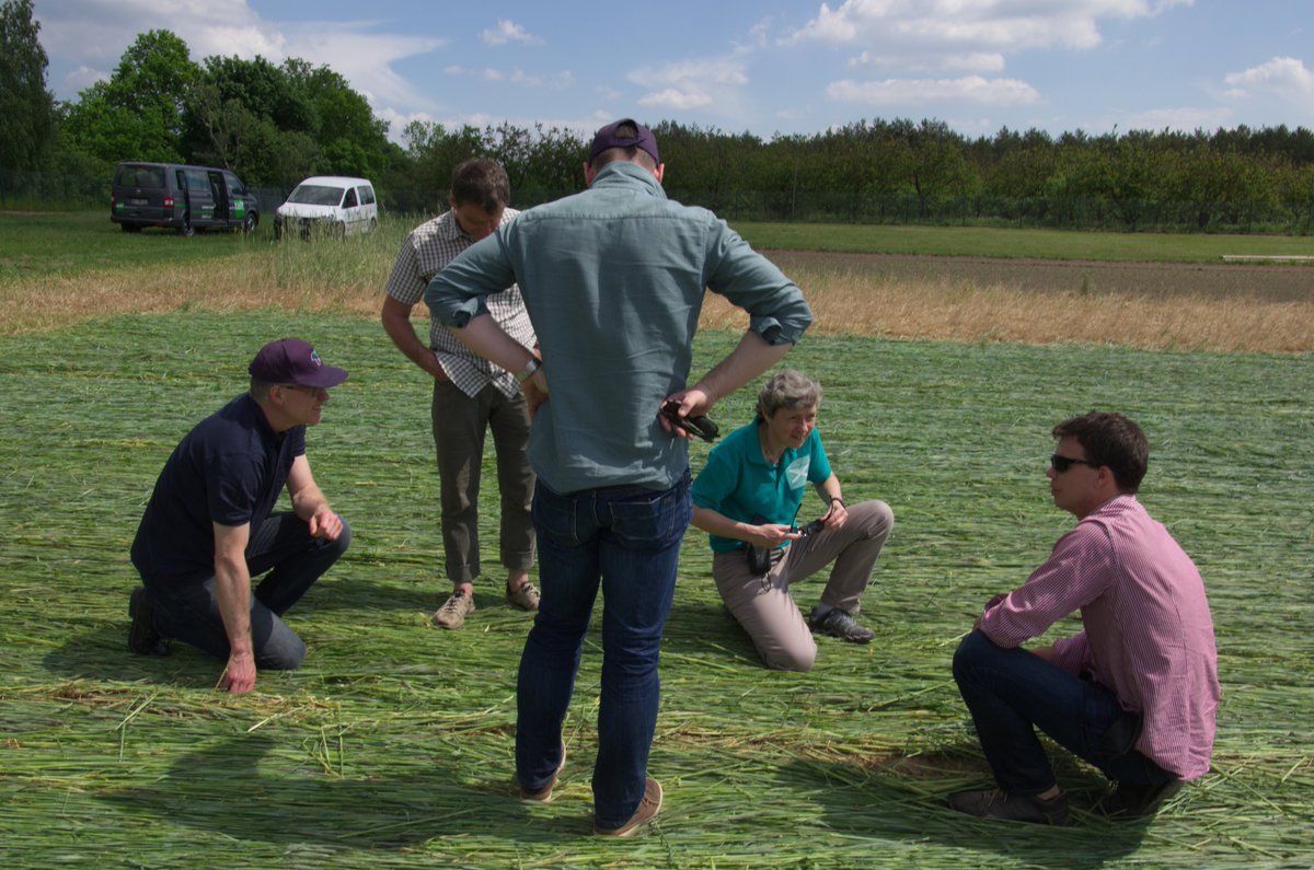 EU_ClimateCAFE's tweet photo. We are testing a double-cropping system @zalf_leibniz for #climatechange adaptation. Soybean is sown after winter rye using direct seeding. https://t.co/Be6ijsQocH