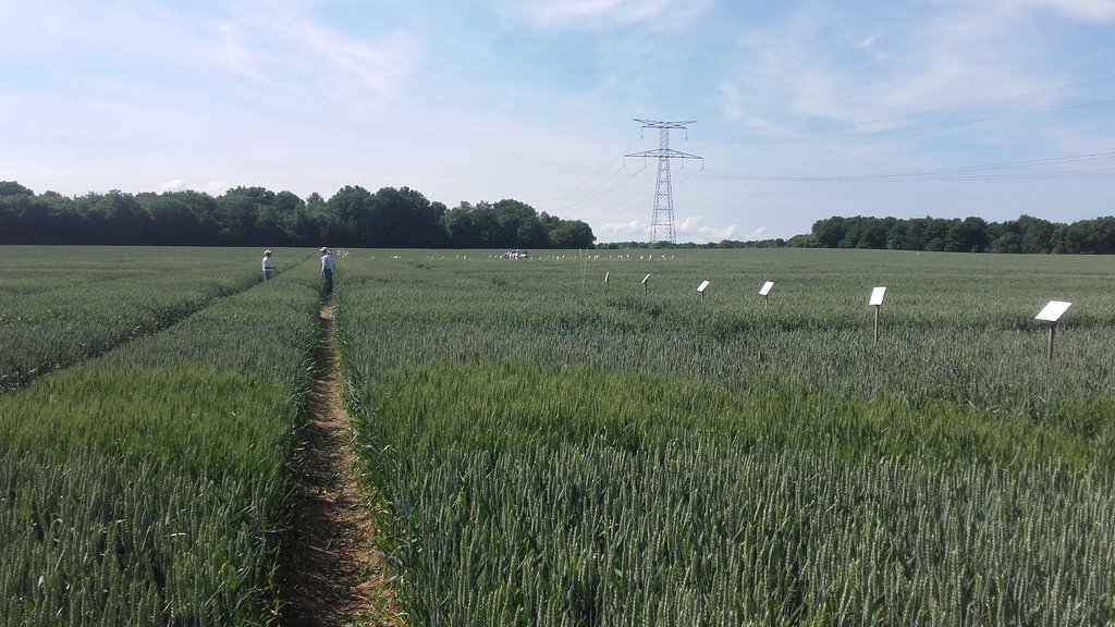 ja45cb's tweet photo. Plateforme #Adarel organisée par #GDA #Loiret. #Experimentations #Innovations pr #AgricultureS performantes économiquement & écologiquement https://t.co/EgNkNf8hP6