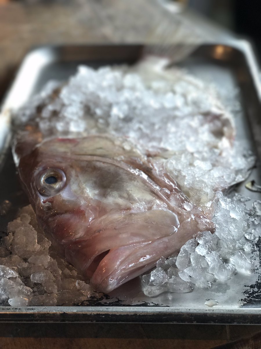 firebakesg's tweet photo. Fresh to Firebake today - line-caught New Zealand John Dory. Limited portions only. 

#FirebakeSG #EastCoastRoad #BreadAndBeyond https://t.co/w8Bs7S6fKX