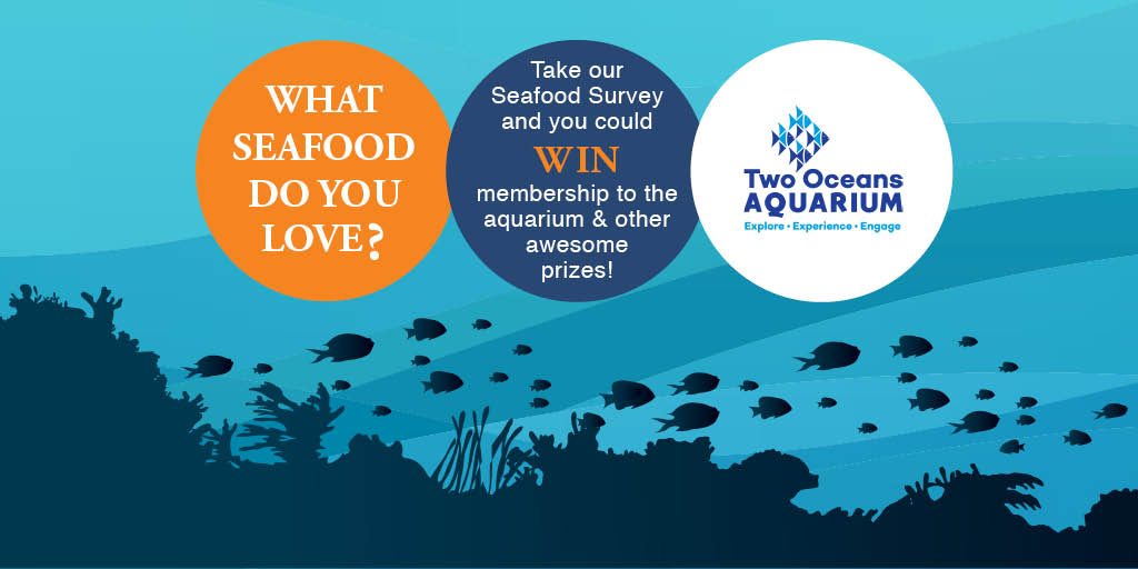 Hey @HauteCabriere <a href="/ChefConstantijn/">Constantijn Hahndiek</a> Please share our survey with your followers (they can win amazing prizes!): survey.wwfsassi.co.za