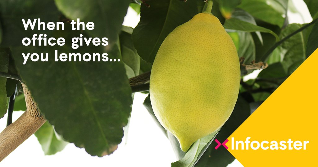 ...make lemonade. Or #limoncello 🍋 #officejungle #lemontree
