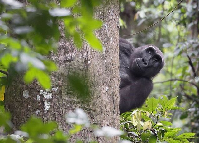 YCSD's tweet image. When Summer Break is just around the corner. #TwoWeeksLeft