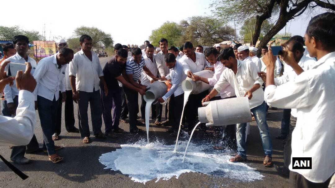 inckhannarajesh's tweet photo. मोदी सरकार का कमाल दुध की नदिया बहती तो सुनी है पर दुध सड़क पर बहता नही देखा क्या यही देश का विकास है @ajaymaken @digvijaya_28 https://t.co/LnrnEB3Ofc