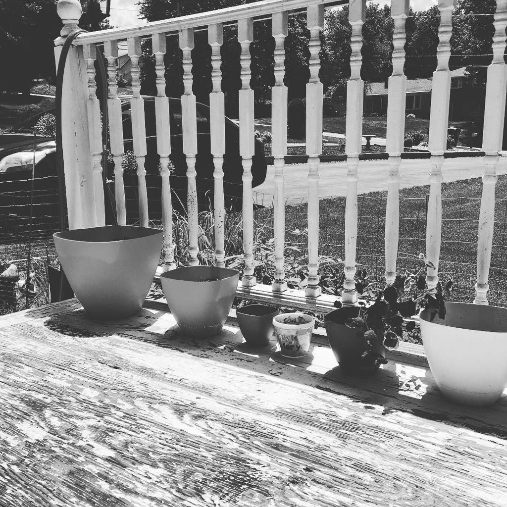 mermaidphotog's tweet image. Getting some sunshine #greetingsfrom #designaglow #summerchallenge #iphone @designaglow ift.tt/2rJyf4W