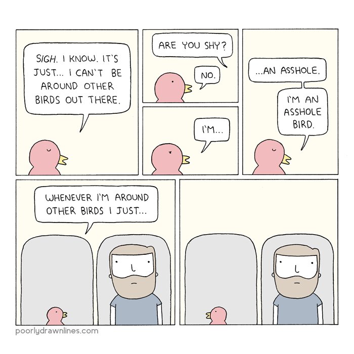 bird on a plane 