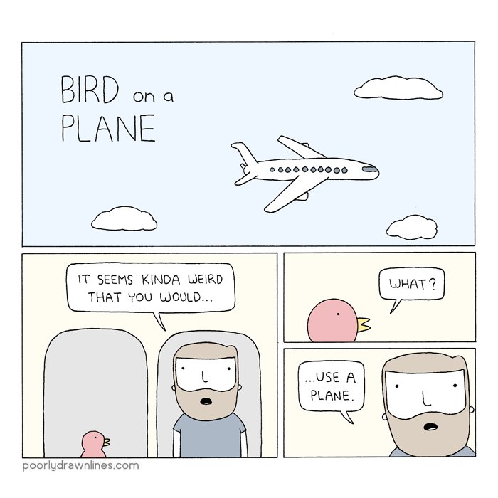 bird on a plane 