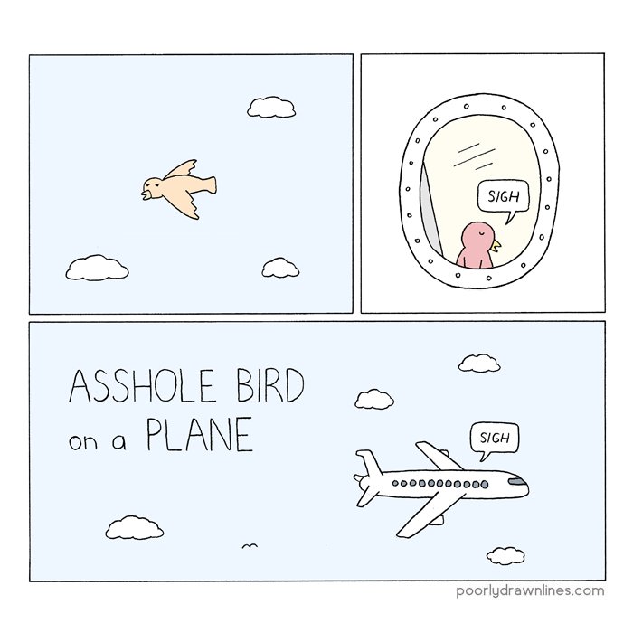 bird on a plane 