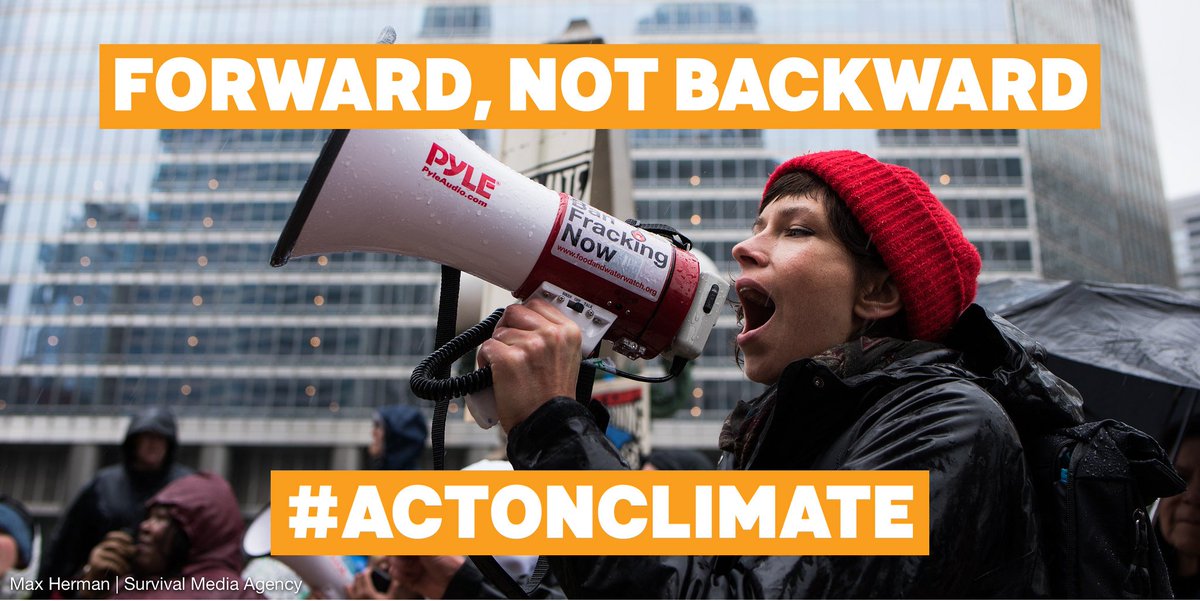 Fossil Fuel D.S.N. tweet media